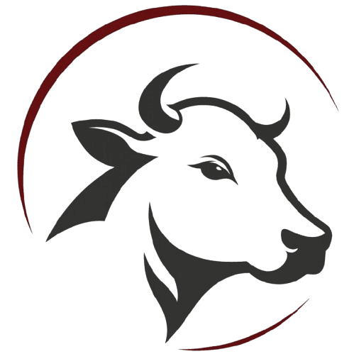 Arz Qammar logo