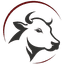 Arz Qammar Logo